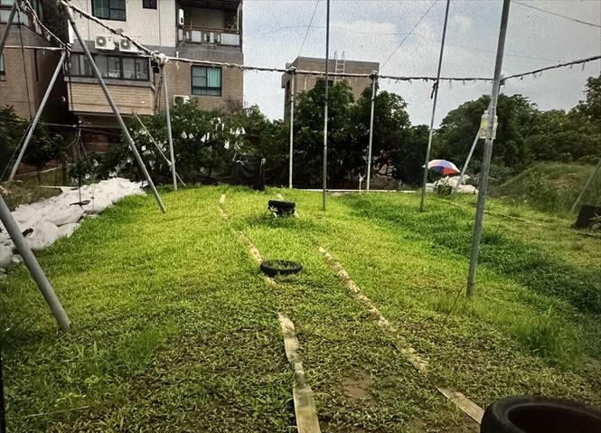 生產者圖片