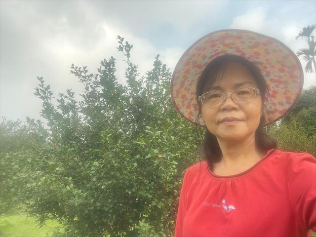 生產者圖片