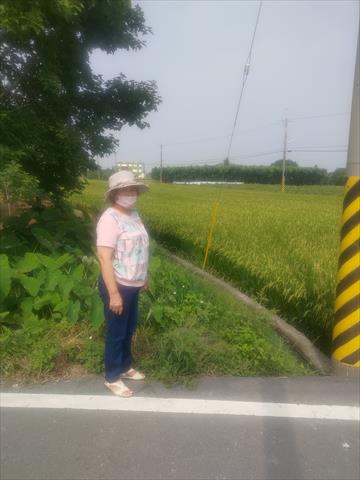 生產者圖片
