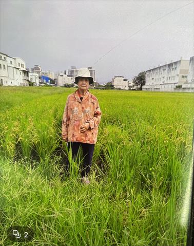 生產者圖片