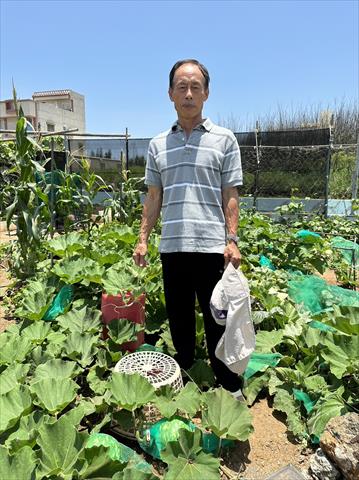 生產者圖片
