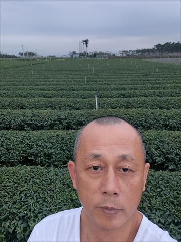 生產者圖片
