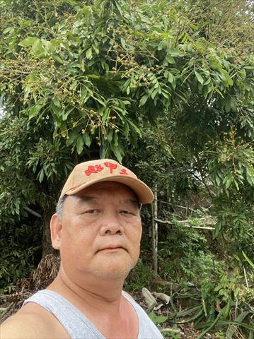 生產者圖片
