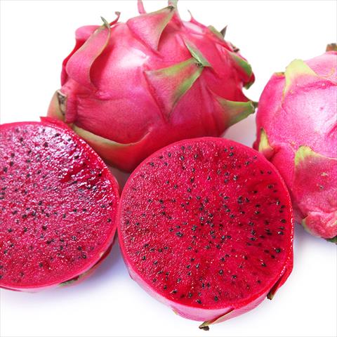 生產者圖片