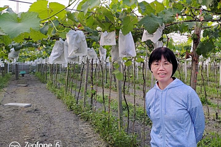 生產者圖片