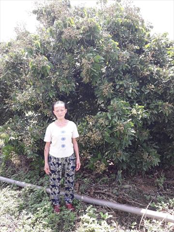 生產者圖片