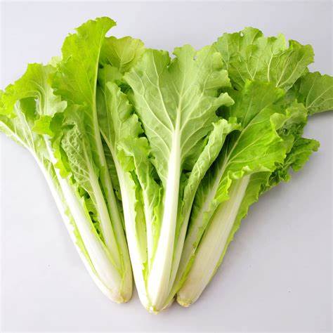 生產者圖片