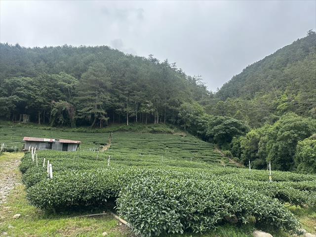 生產者圖片