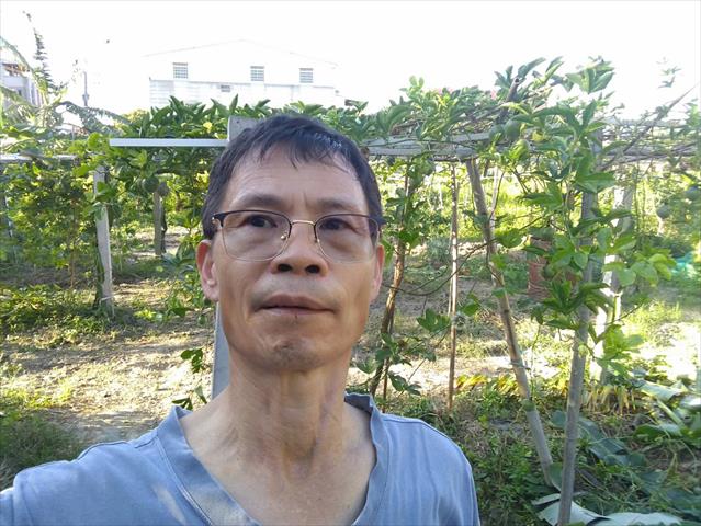 生產者圖片