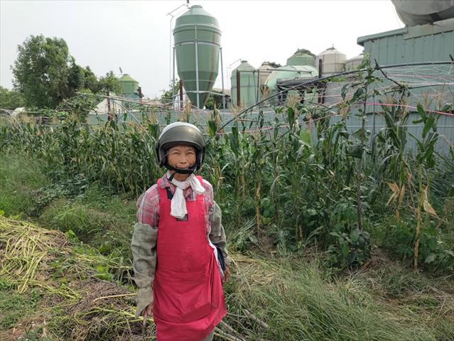 生產者圖片