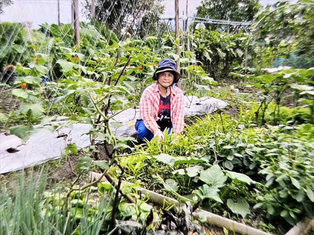 生產者圖片