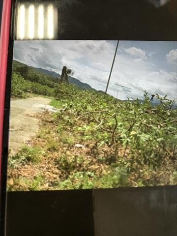 生產者圖片