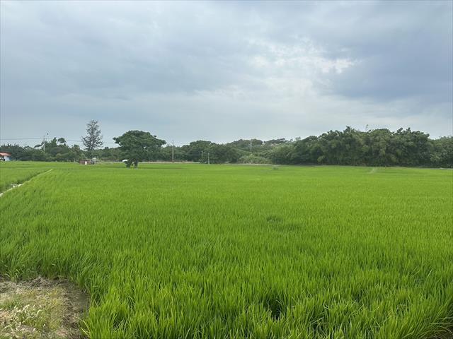 生產者圖片
