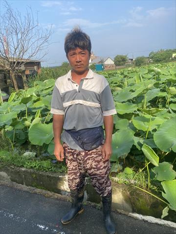 生產者圖片