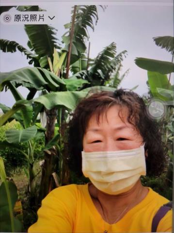 生產者圖片