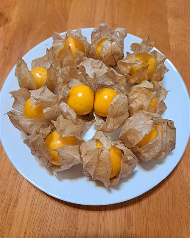 生產者圖片