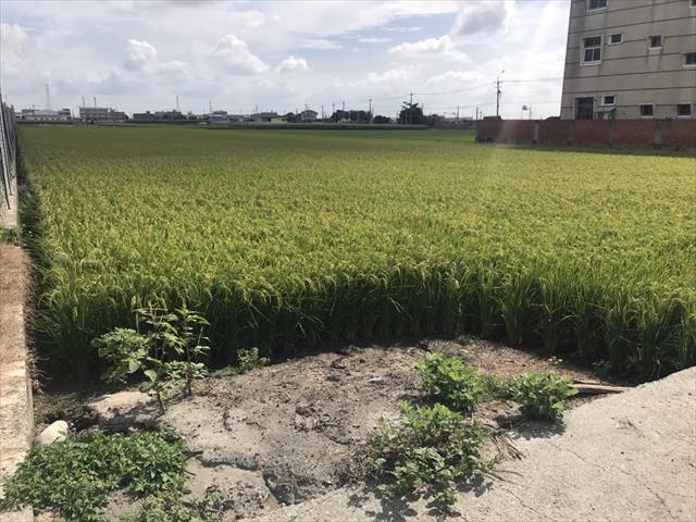 生產者圖片