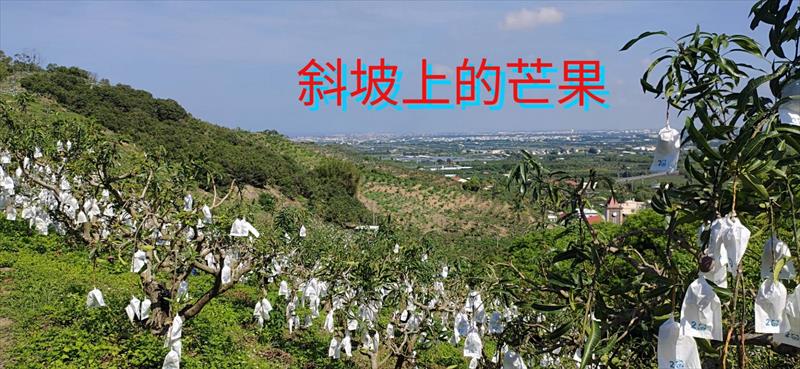 生產者圖片