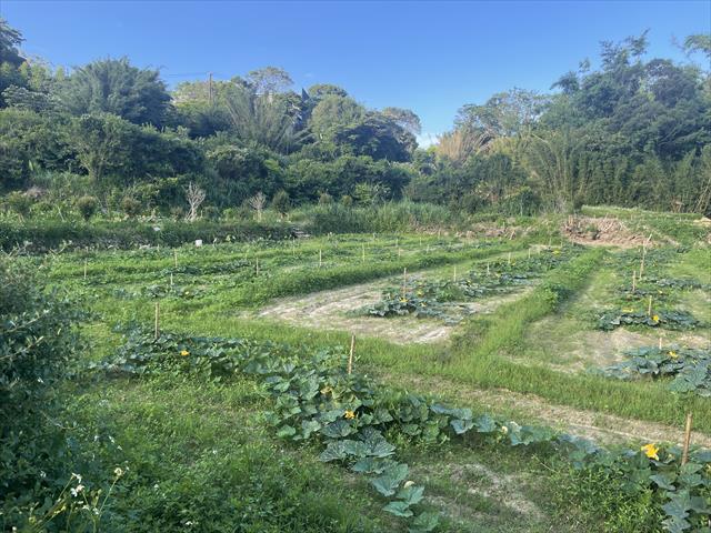 生產者圖片