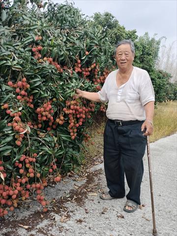 生產者圖片