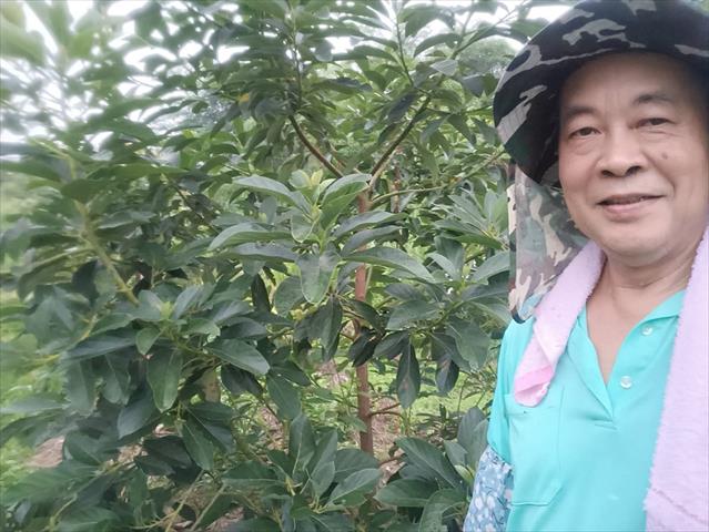 生產者圖片