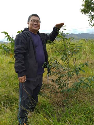 生產者圖片