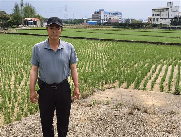 生產者圖片