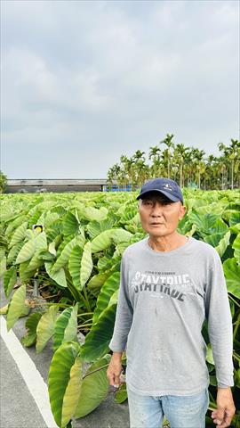 生產者圖片