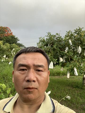 生產者圖片