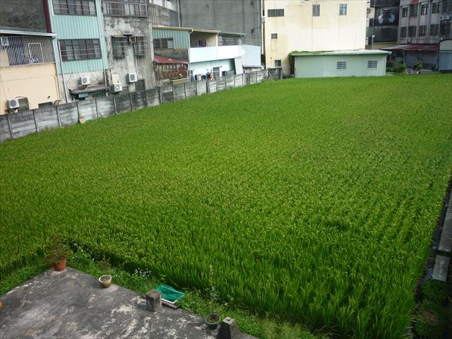 生產者圖片