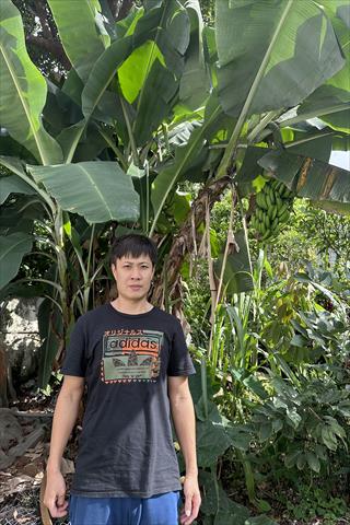 生產者圖片