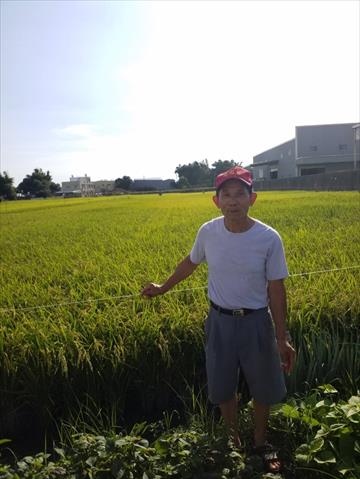 生產者圖片