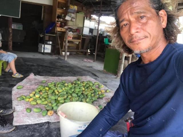 生產者圖片