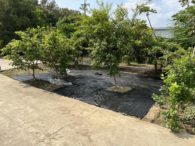 生產者圖片