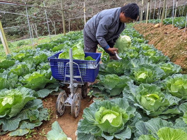 生產者圖片
