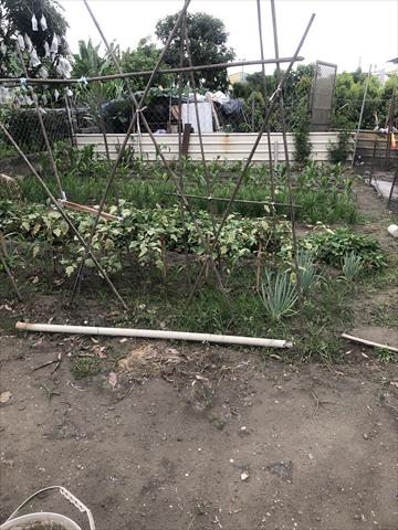 生產者圖片