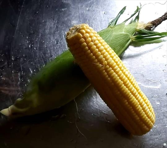 生產者圖片