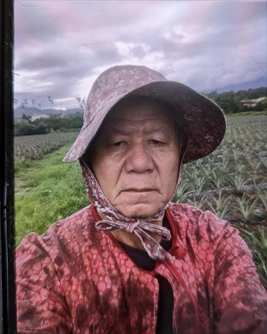 生產者圖片