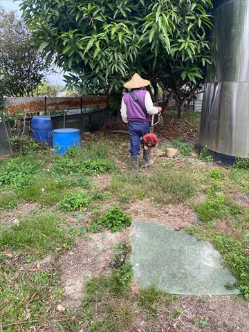 生產者圖片