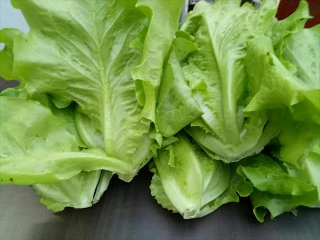 生產者圖片