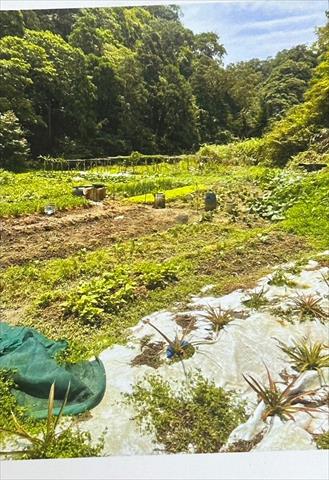 生產者圖片