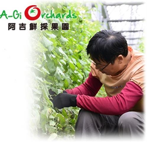 生產者圖片
