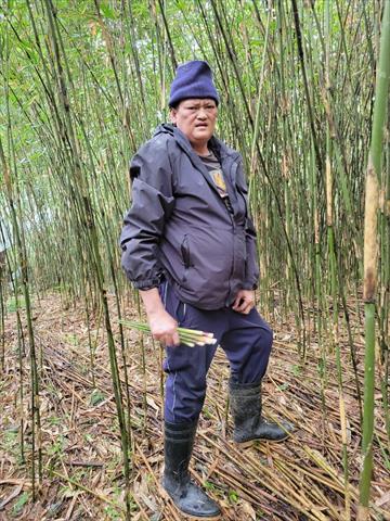 生產者圖片