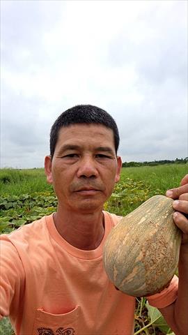 生產者圖片