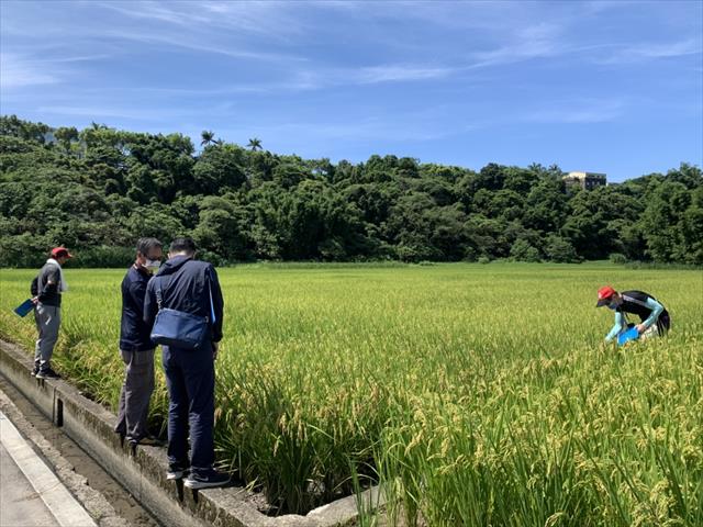 生產者圖片