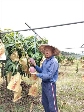 生產者圖片