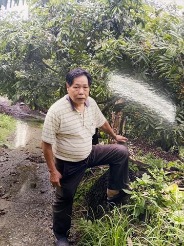 生產者圖片