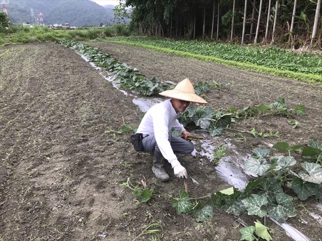生產者圖片