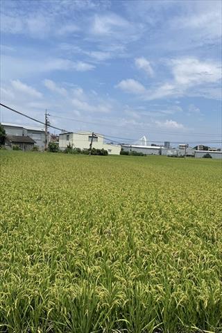 生產者圖片