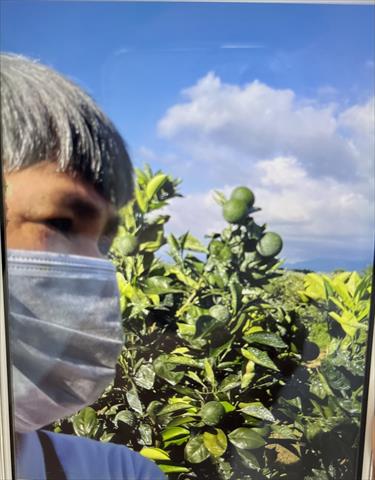 生產者圖片